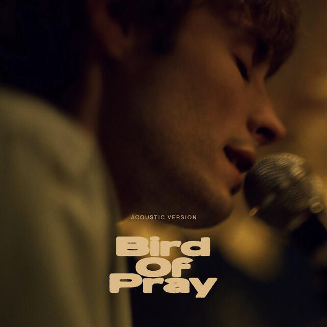 Релиз Bird of Pray (Acoustic)