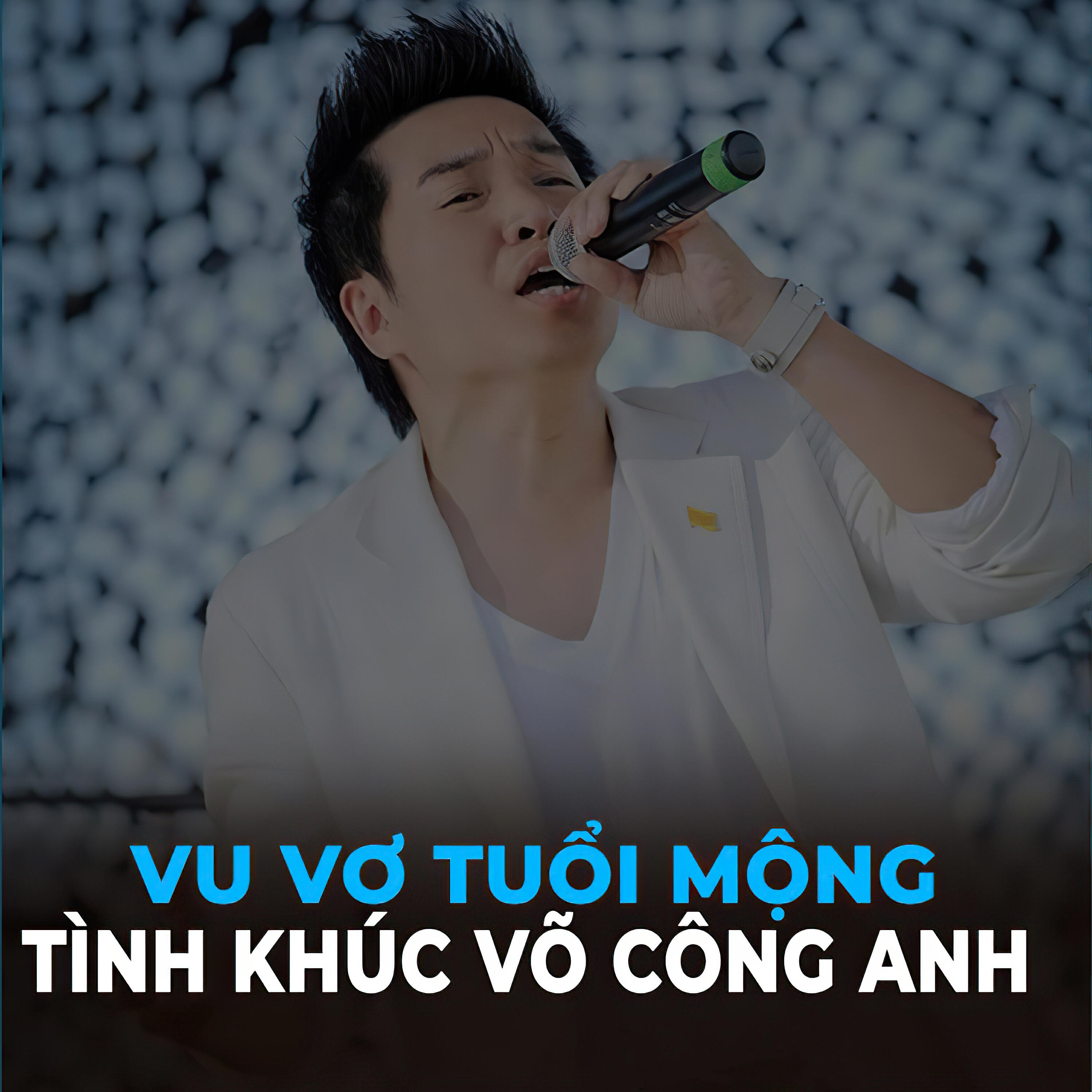 Релиз Vu vơ tuổi mộng - tình khúc Võ Công Anh