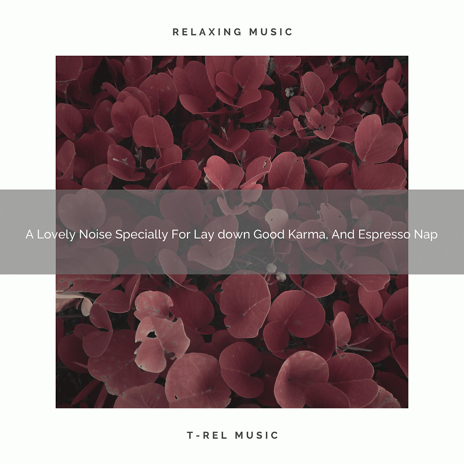 Soft Traffic Sounds & Noises - A Lovely Noise Specially For Lay down Good Karma, And Nap A Latte