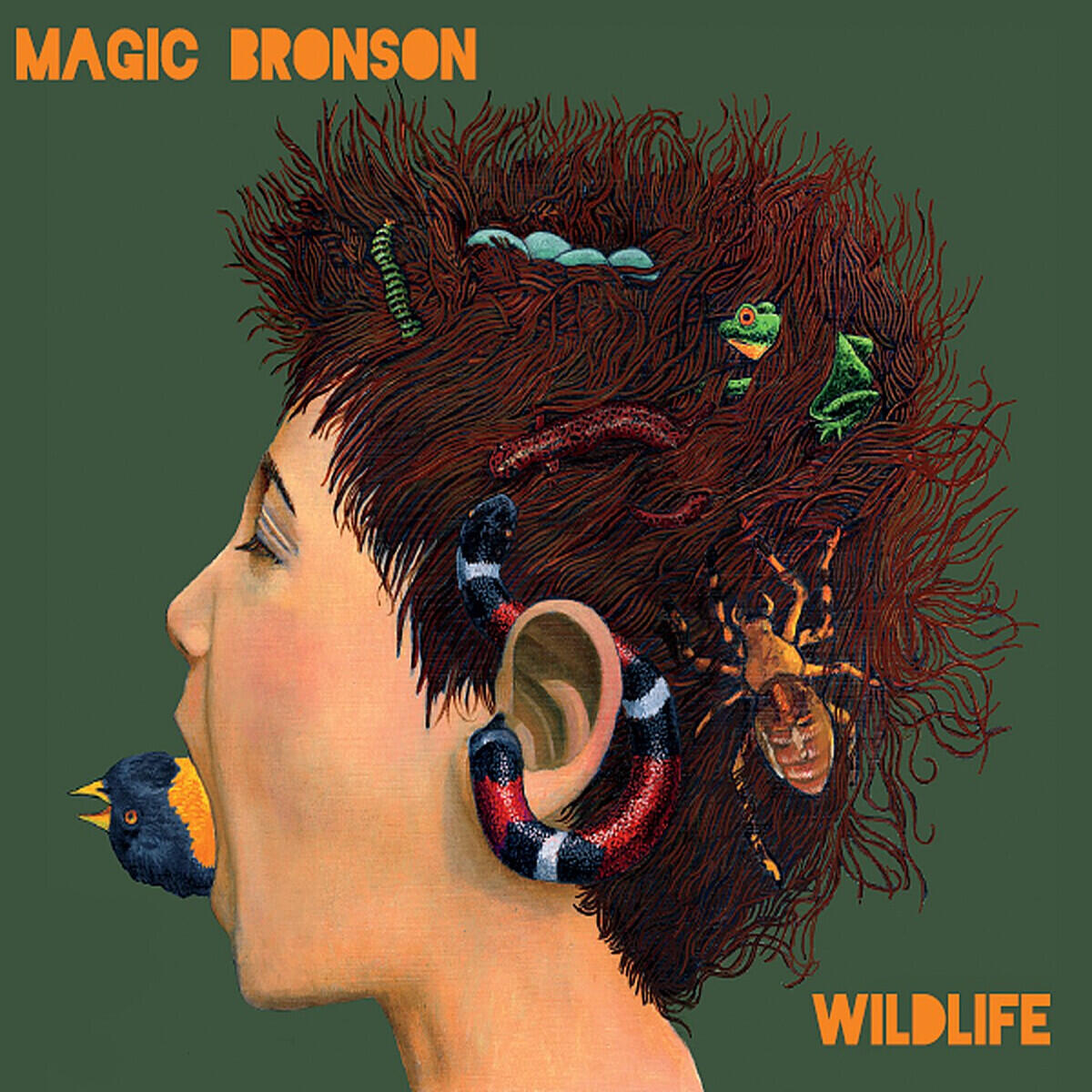 Релиз Wildlife