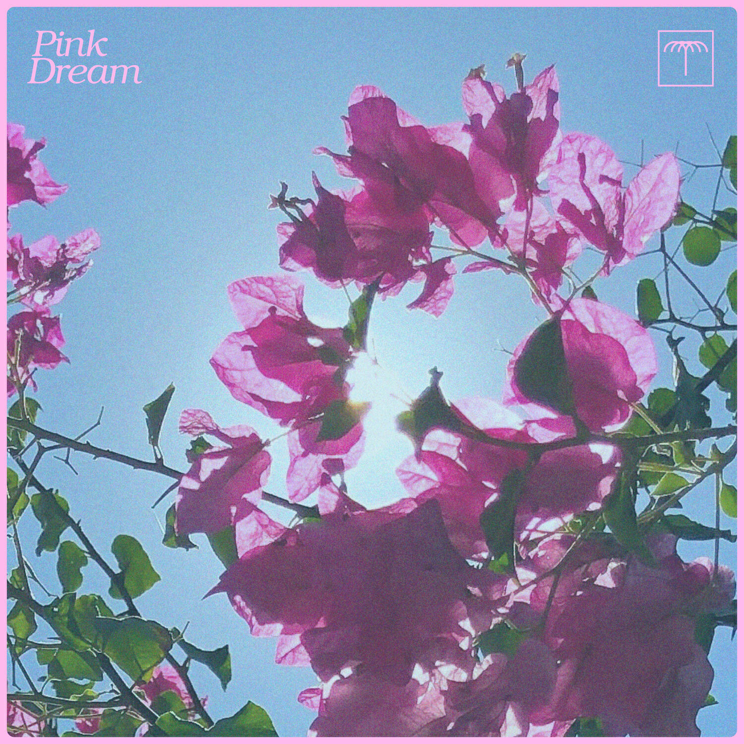 Релиз Pink Dream