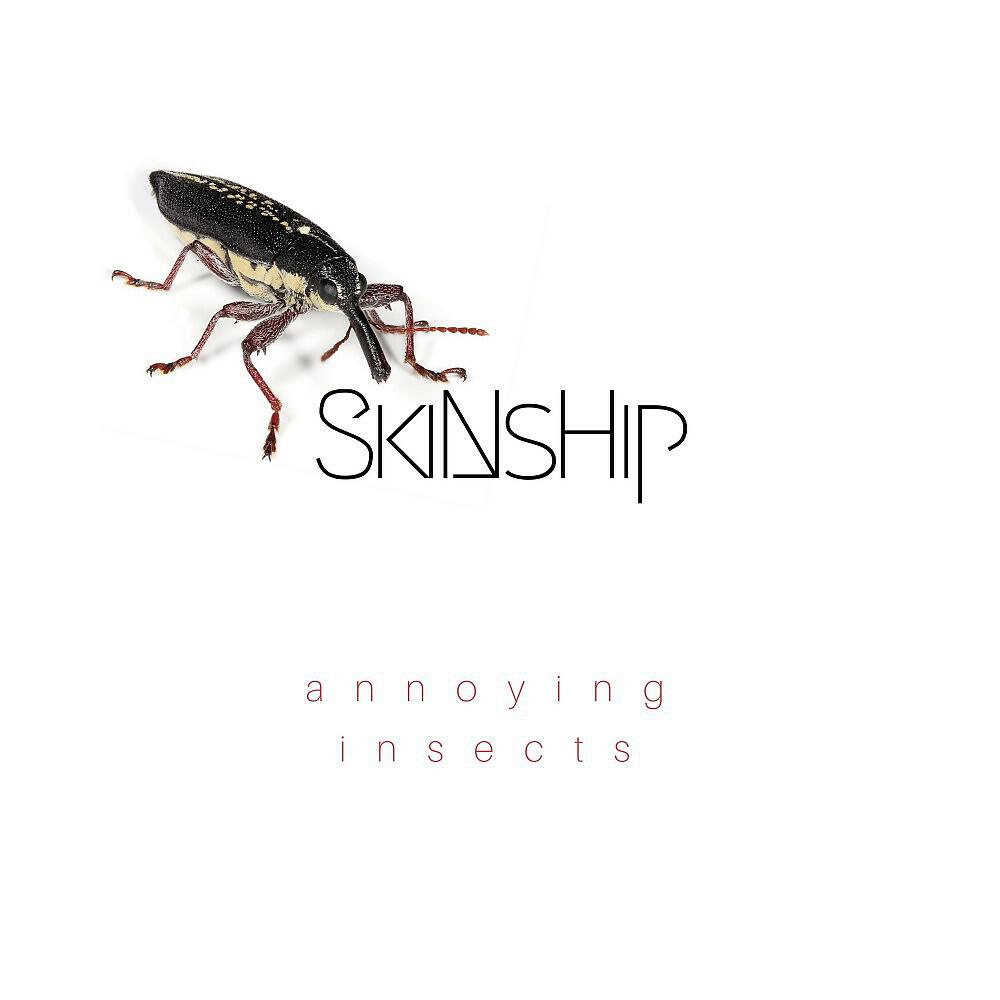 Релиз Annoying Insects