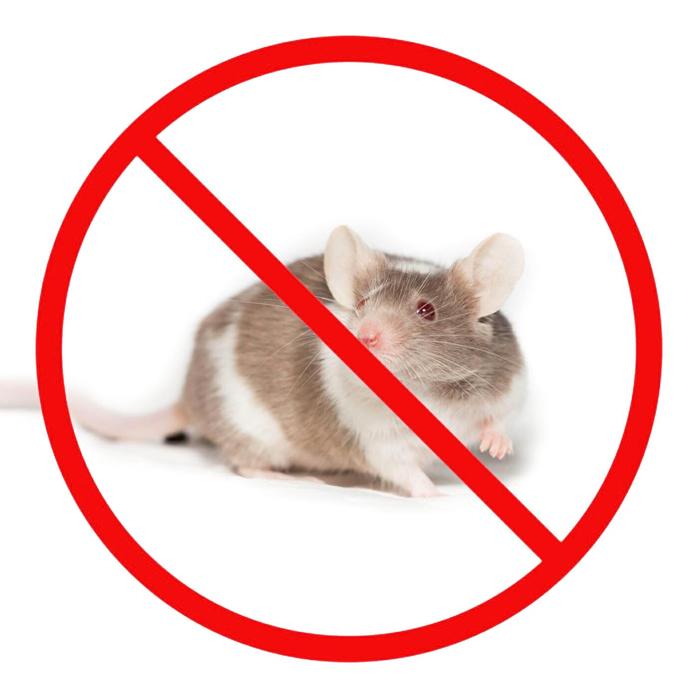 Ultrasonic Pest Repeller