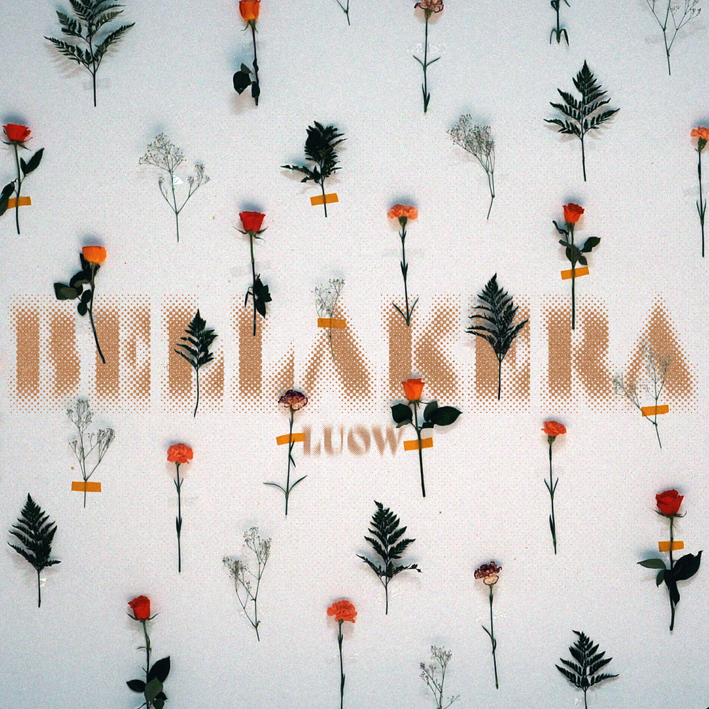 Трек Bellakera