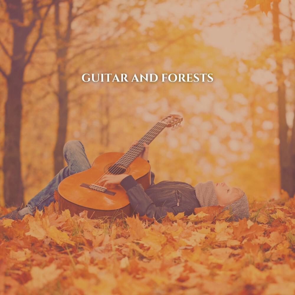 Релиз Guitar and Forests