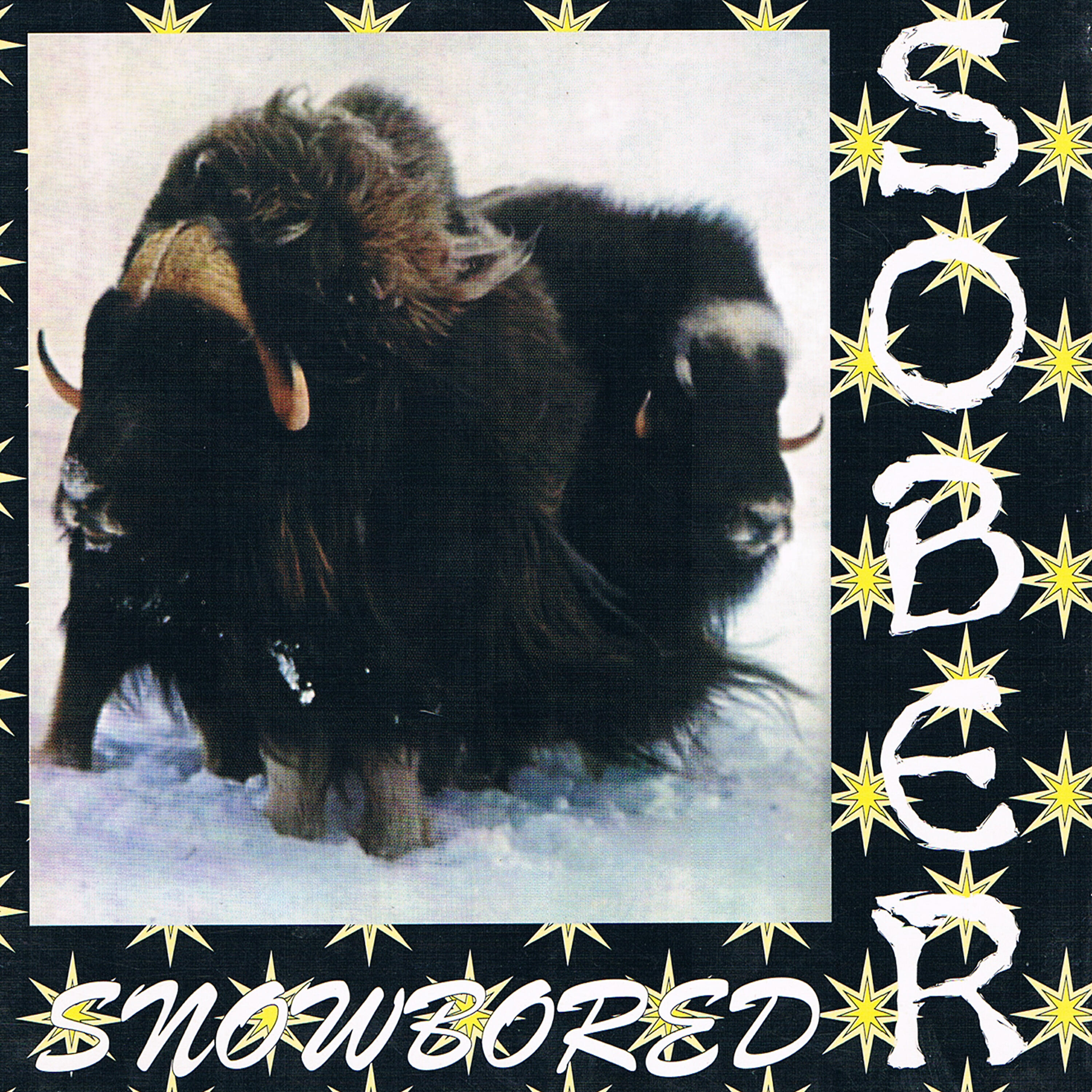 Релиз Snowbored