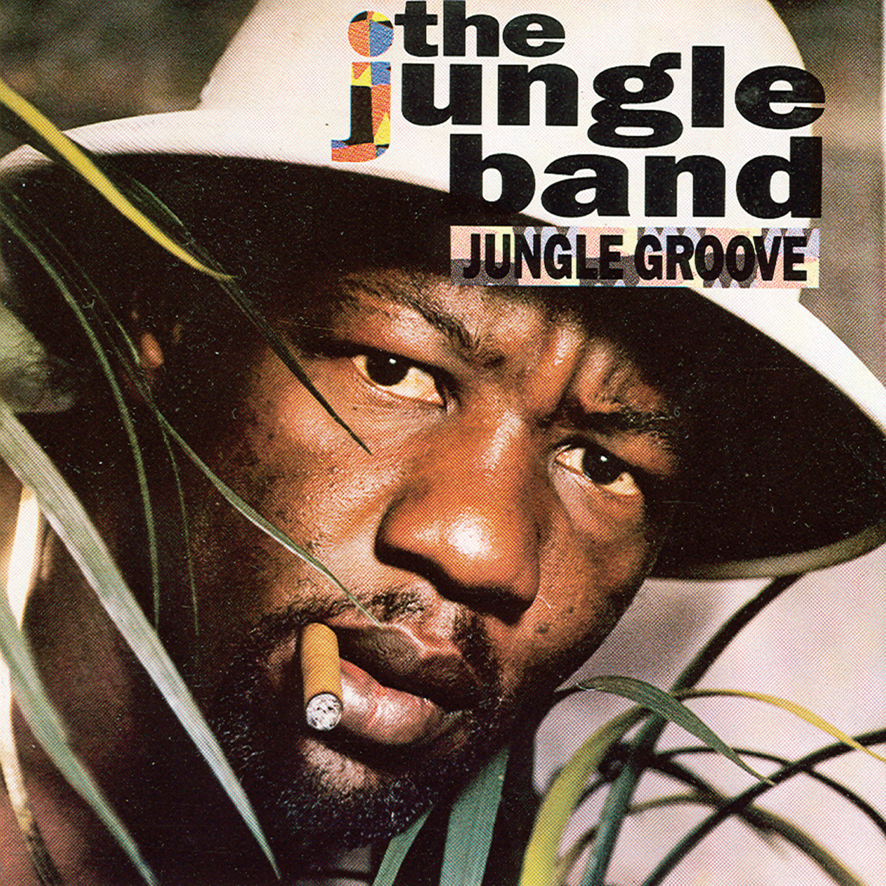 Релиз Jungle Groove