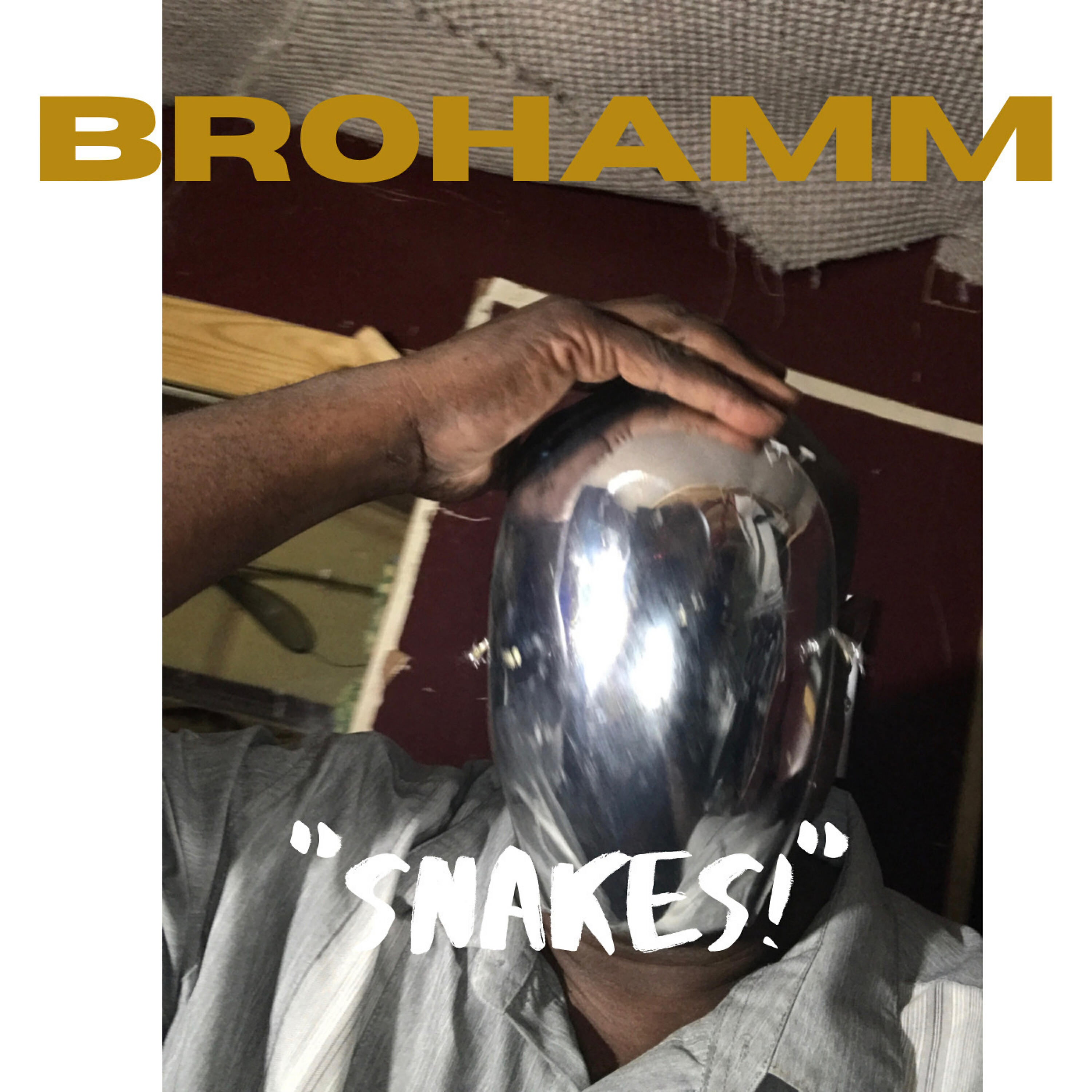 Релиз "Snakes" (Single)