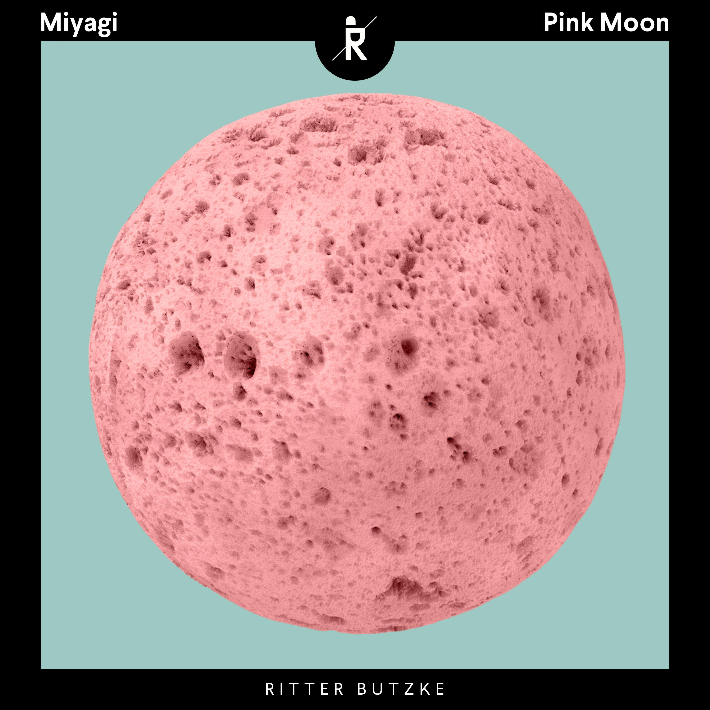 Релиз Pink Moon