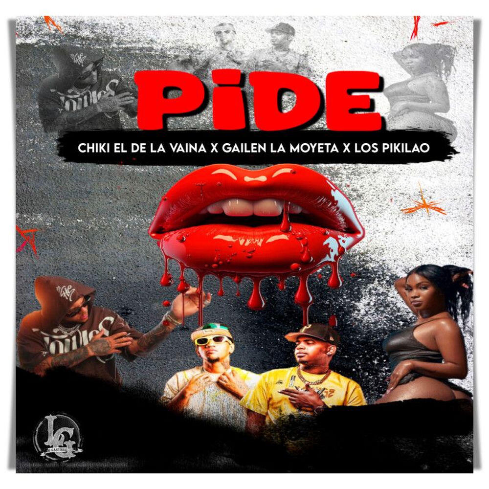 Релиз Pide
