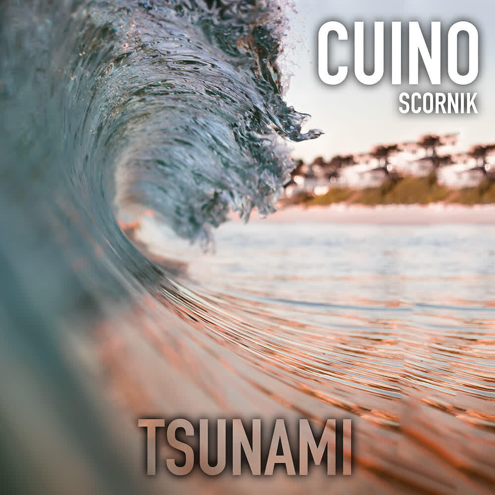 Релиз Tsunami