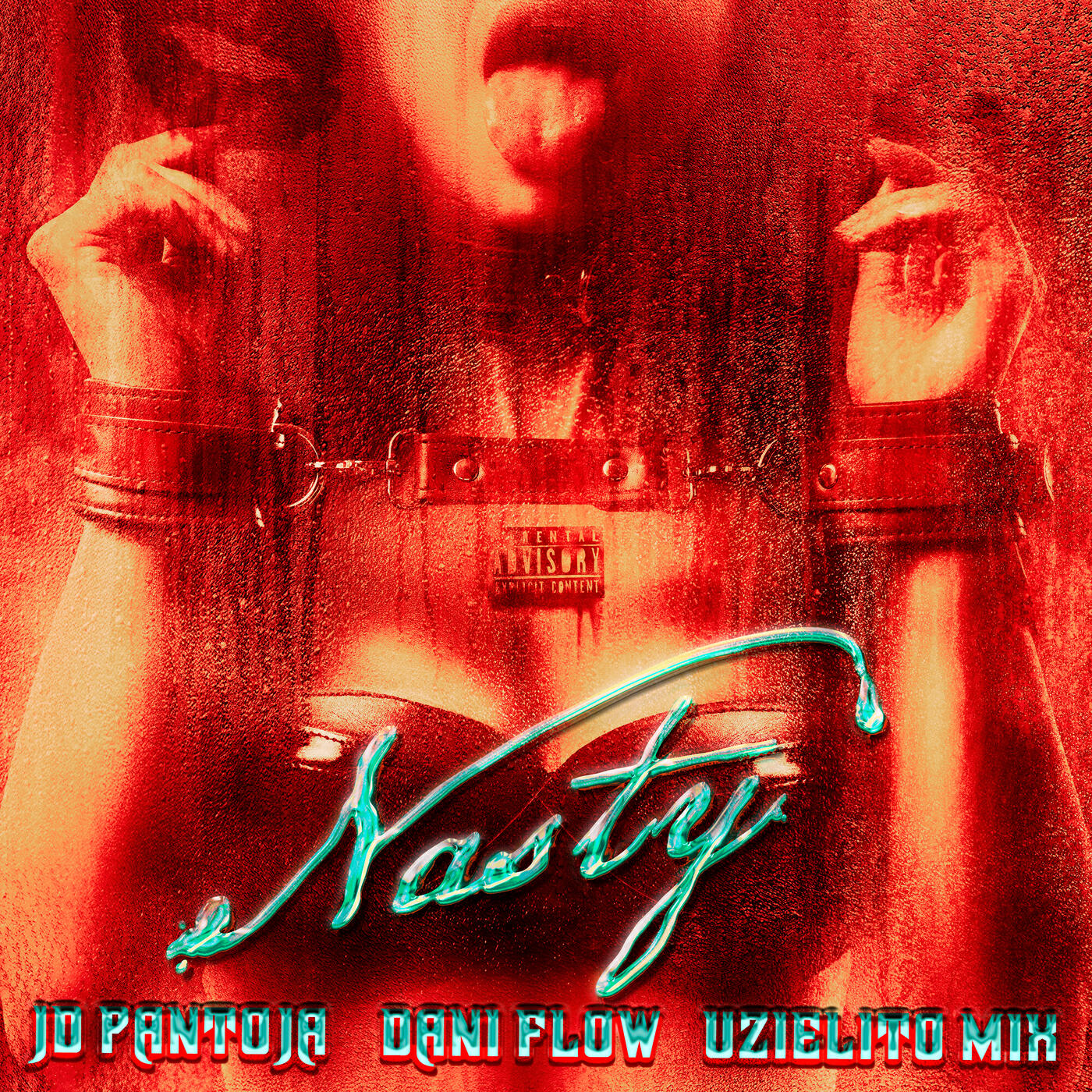 Постер альбома Nasty