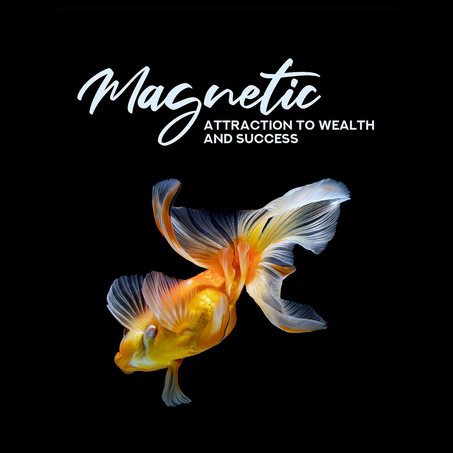 Релиз Magnetic Attraction to Wealth and Success
