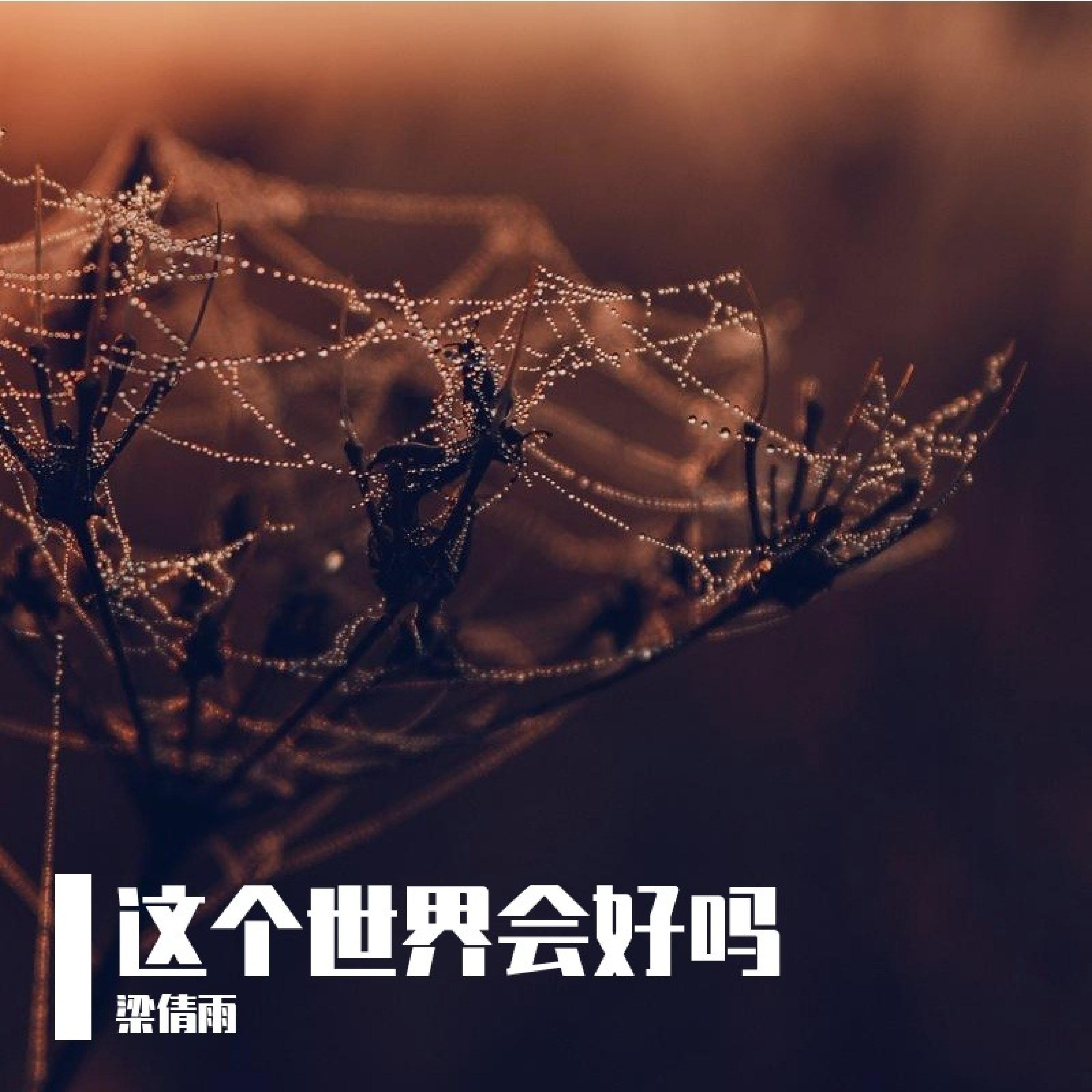 Релиз 这个世界会好吗