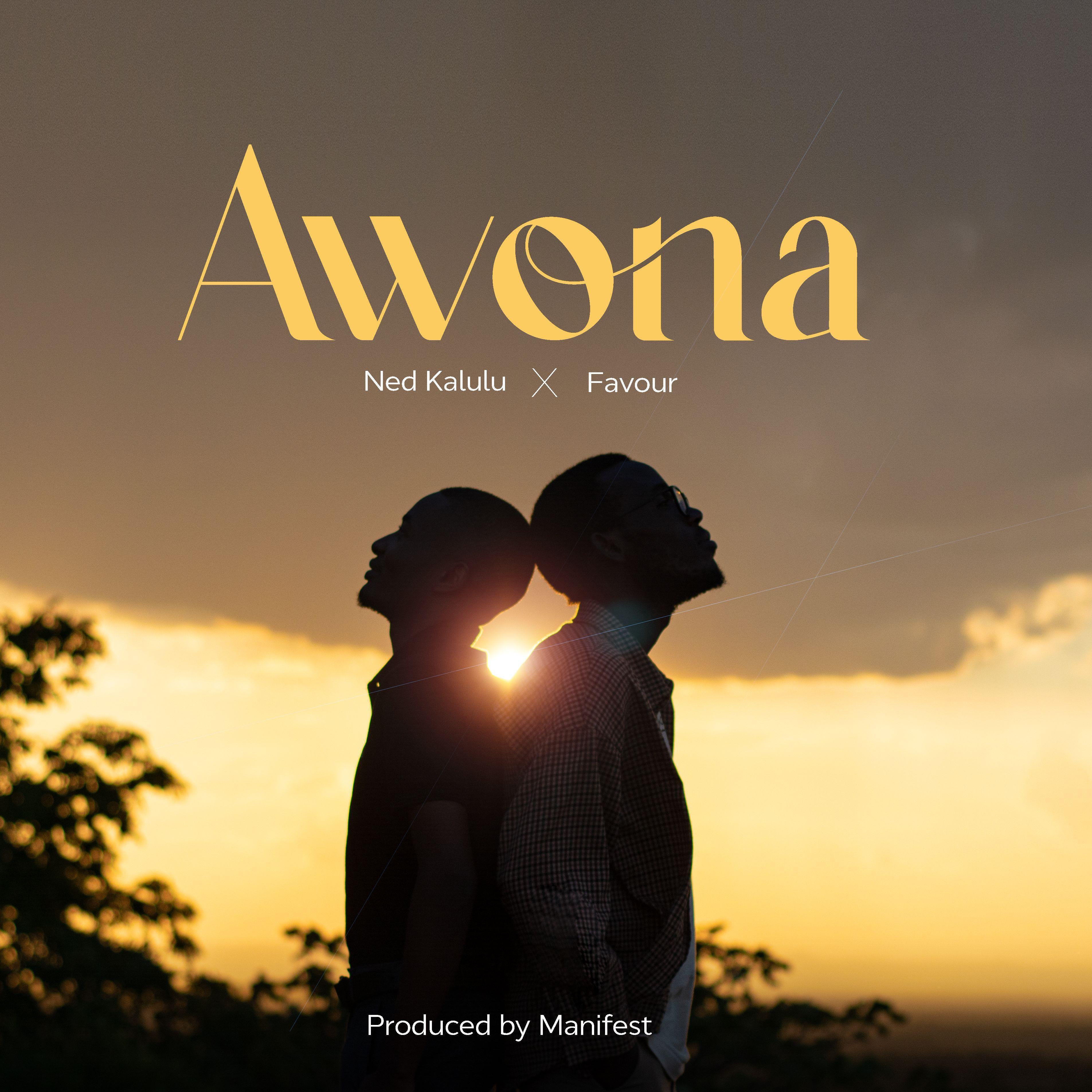Релиз Awona