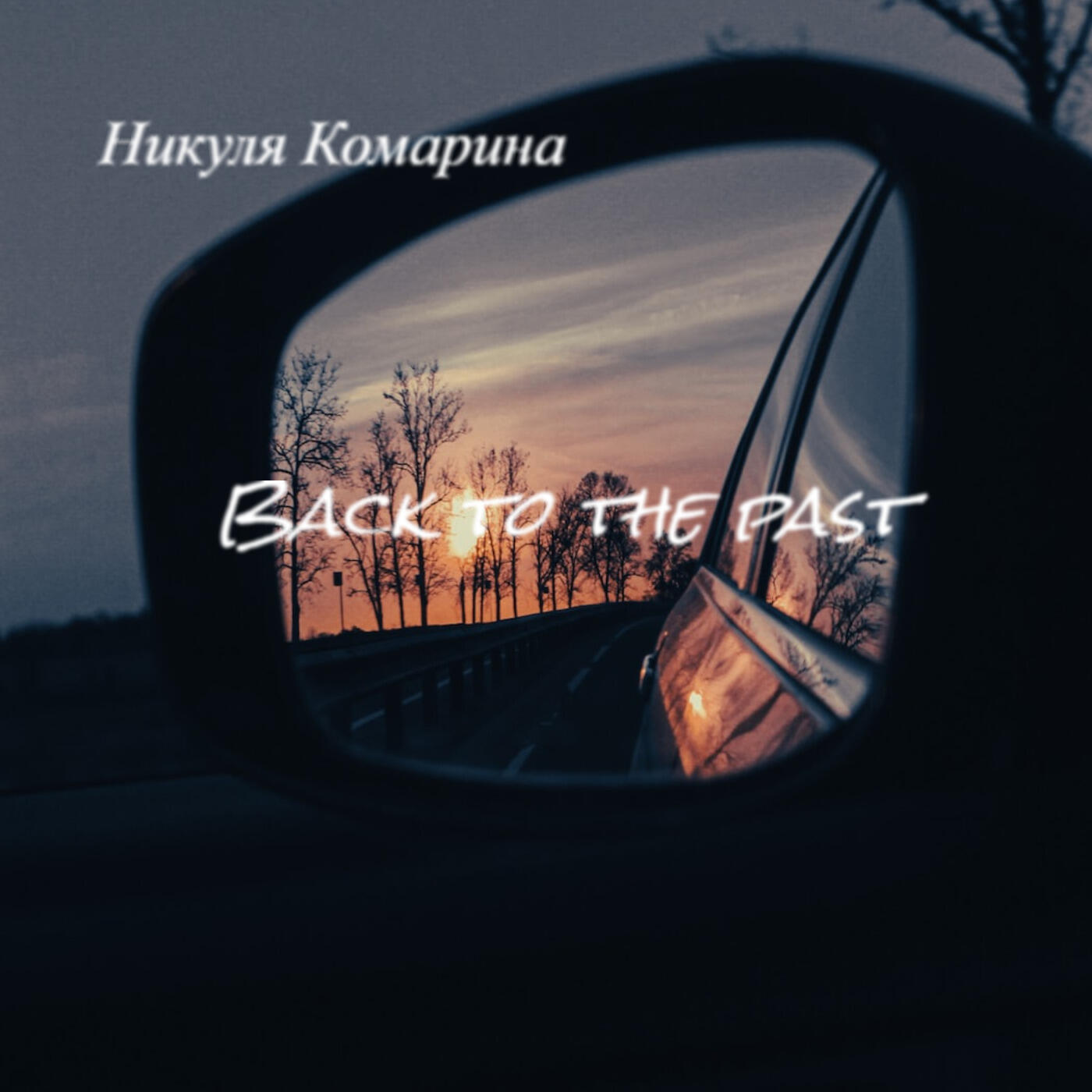Никуля Комарина