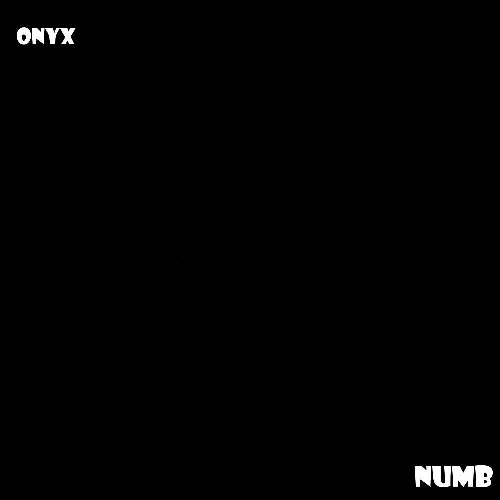 Постер альбома Numb