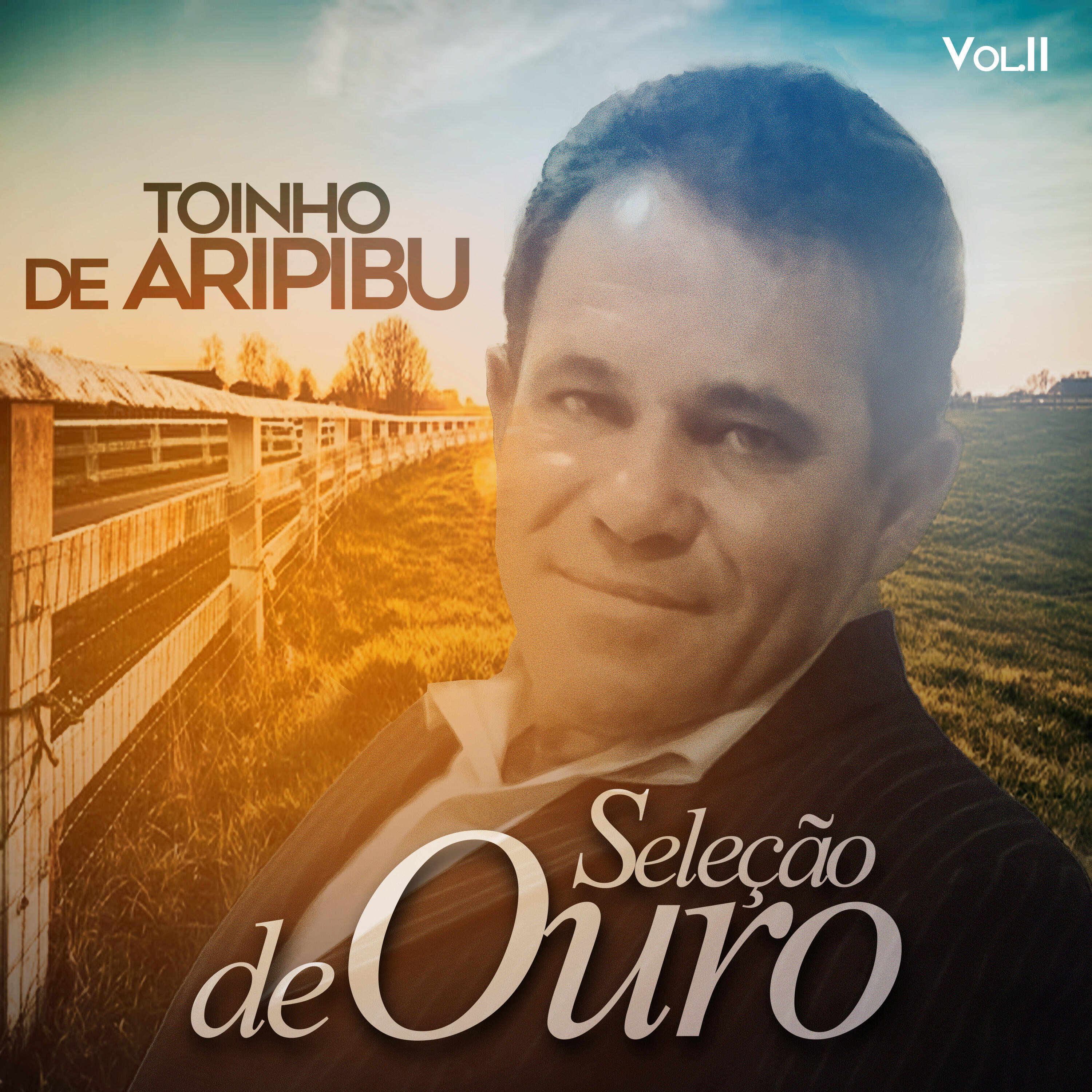 Релиз Seleção de Ouro, Vol. II