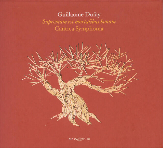 Постер альбома Dufay, G.: Choral Music