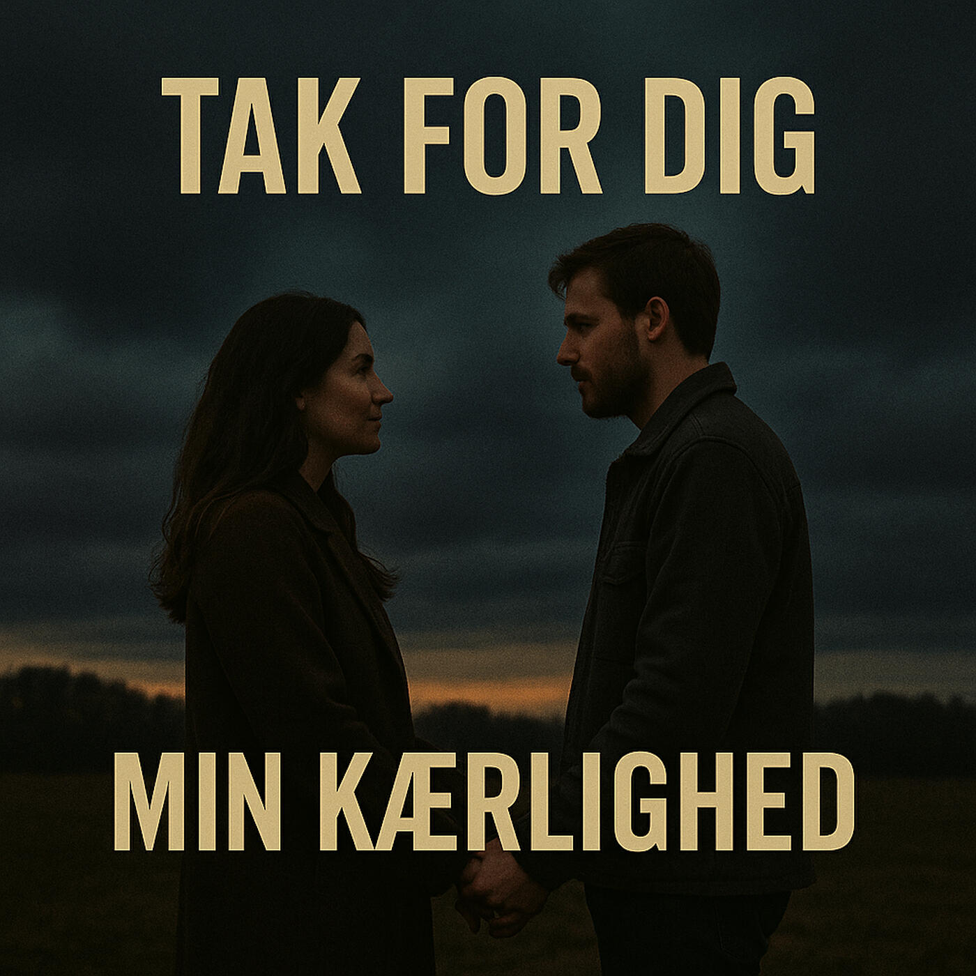 Релиз Tak for Dig Min Kærlighed