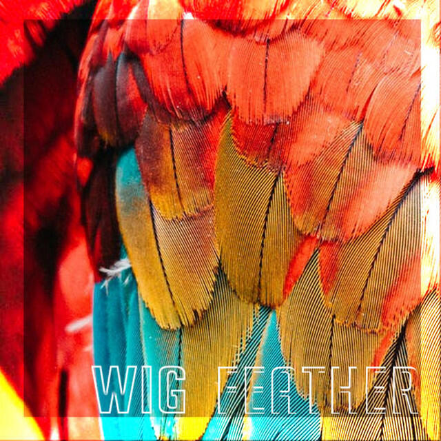 Релиз Feather