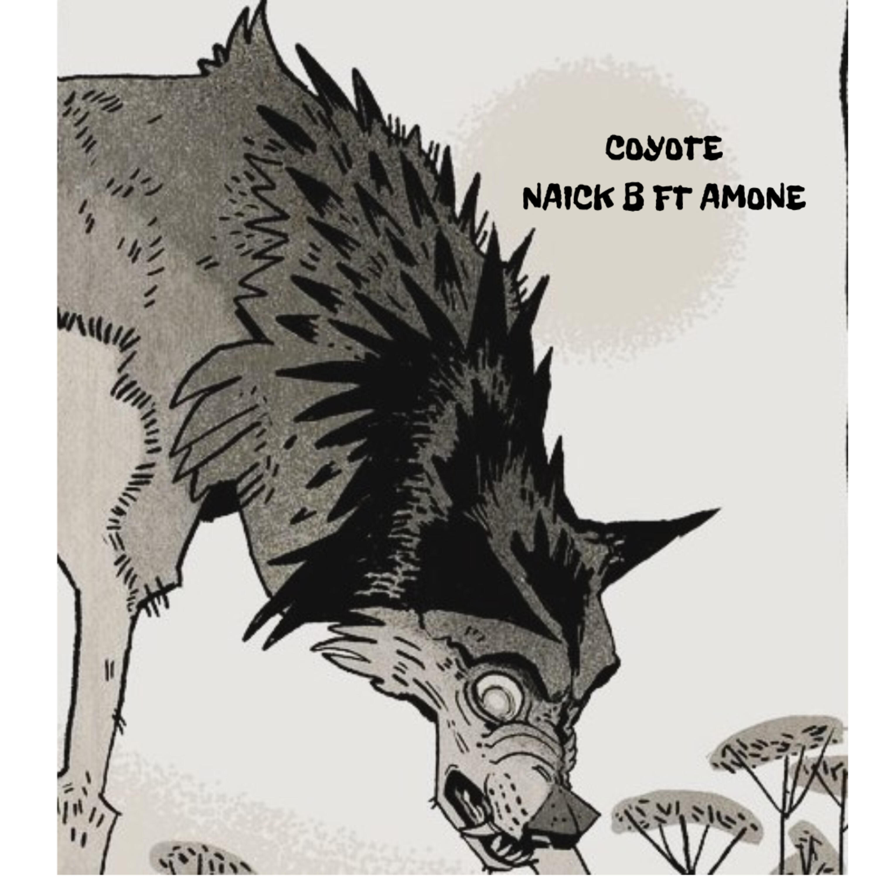 Релиз Coyote
