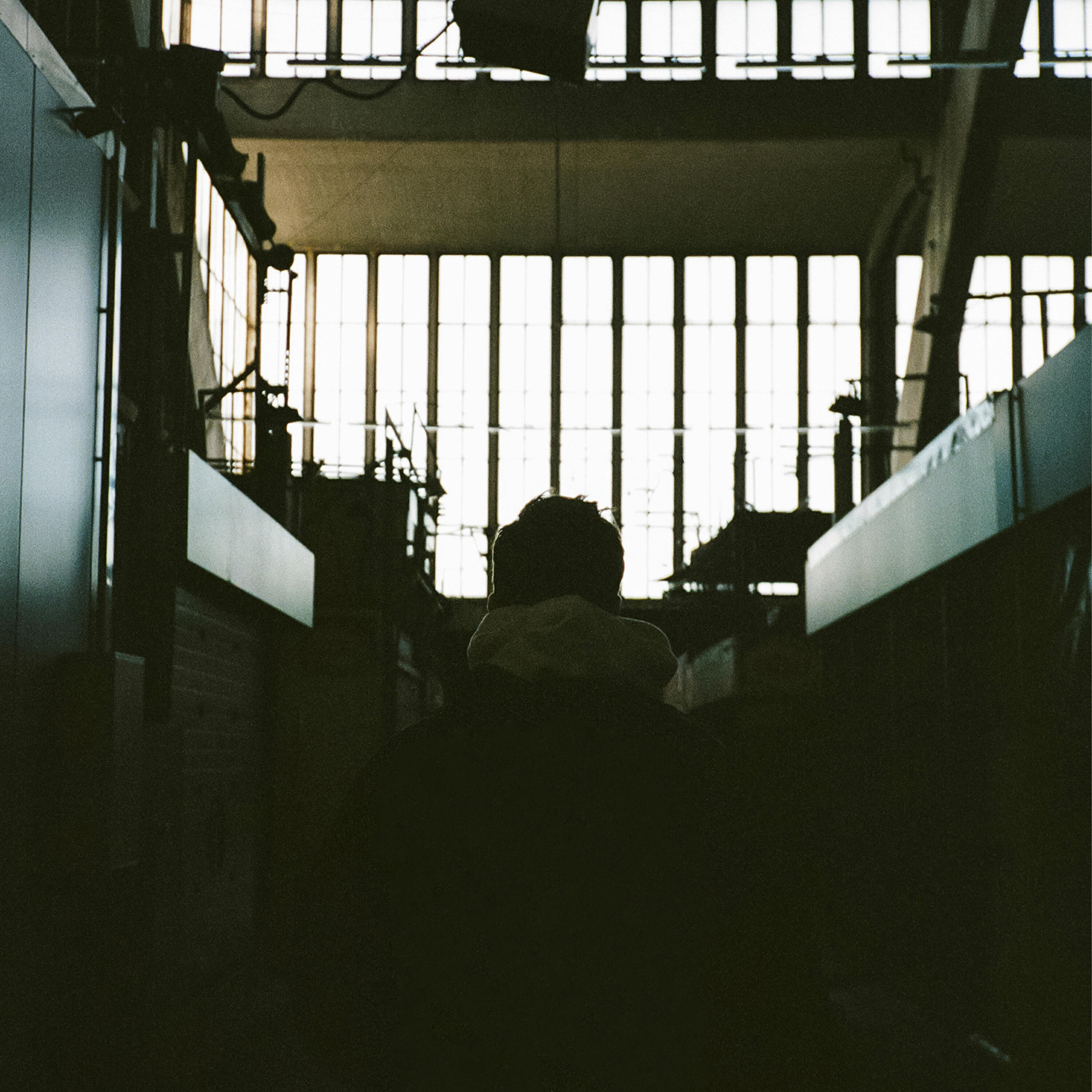 Релиз Wasted Youth