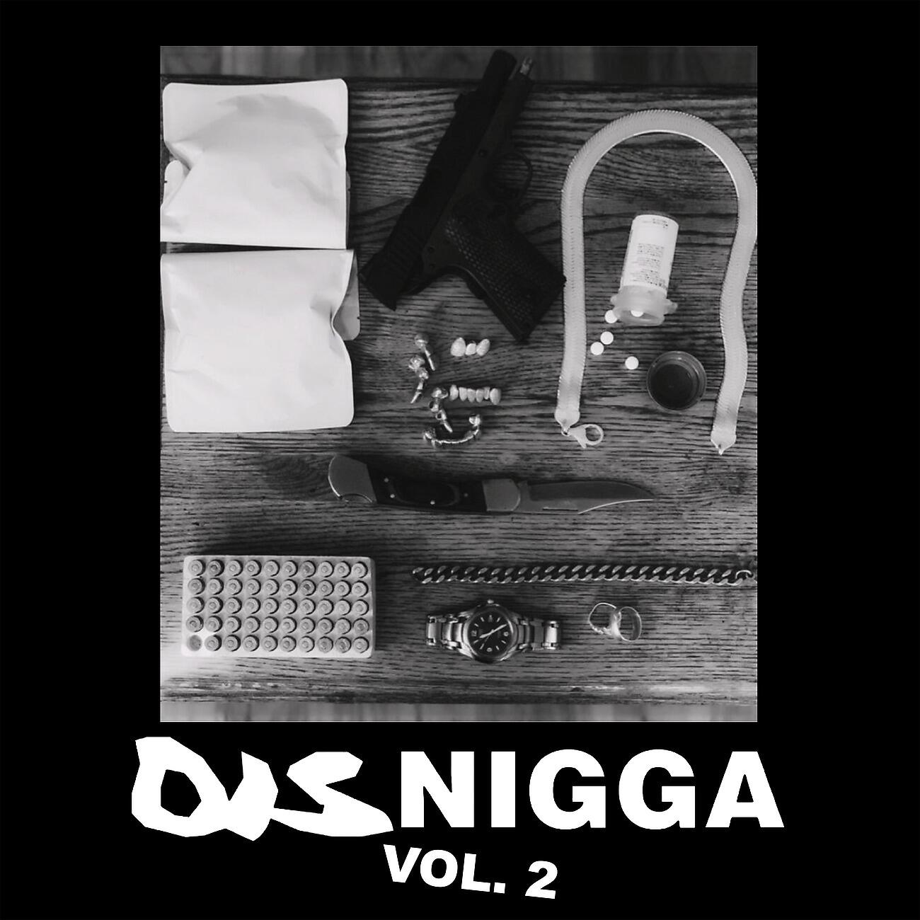Релиз DisNigga, Vol. 2