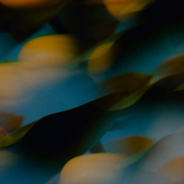 Постер альбома Hiding