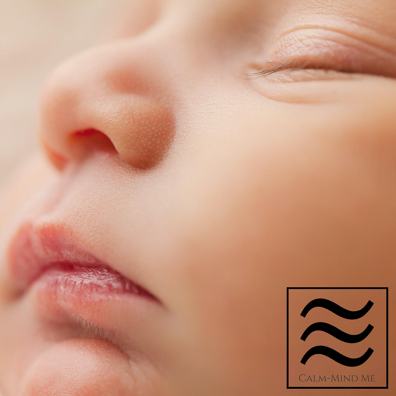 Релиз Baby Shusher Sound