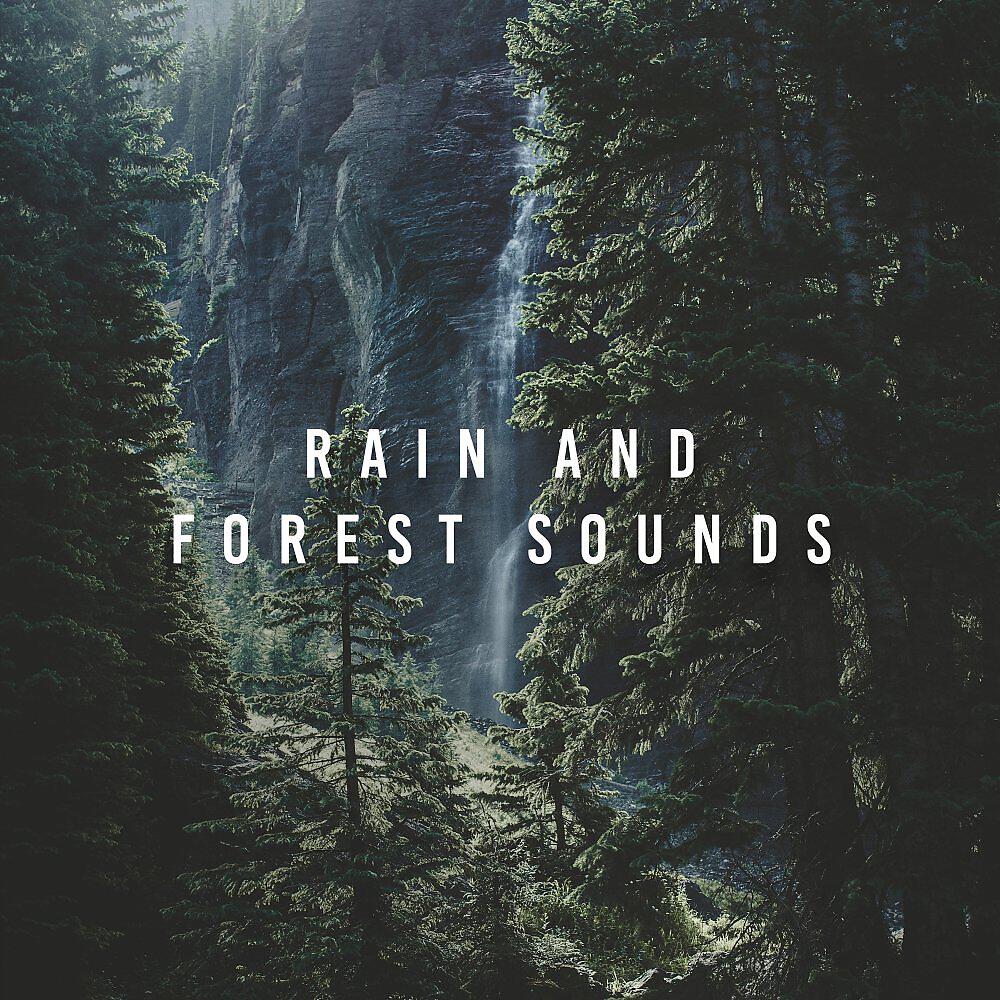 Релиз Rain And Forest Sounds