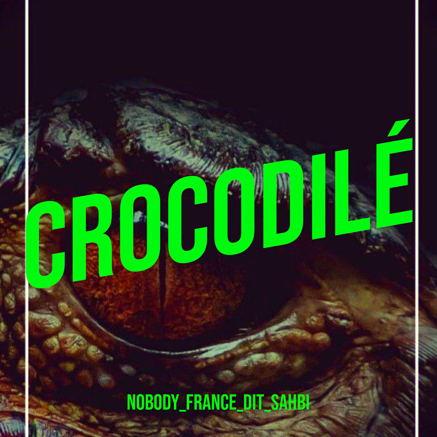 Релиз Crocodilé