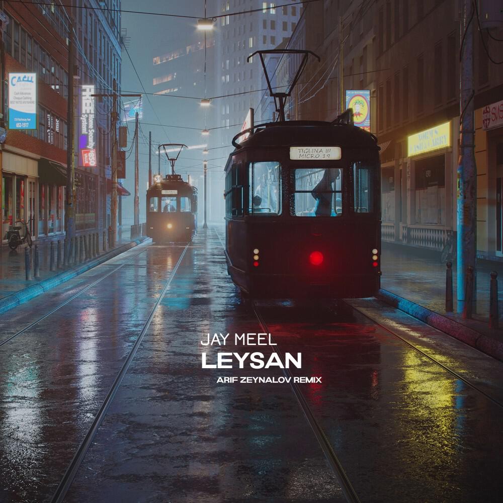 Постер альбома Leysan (Arif Zeynalov Remix)