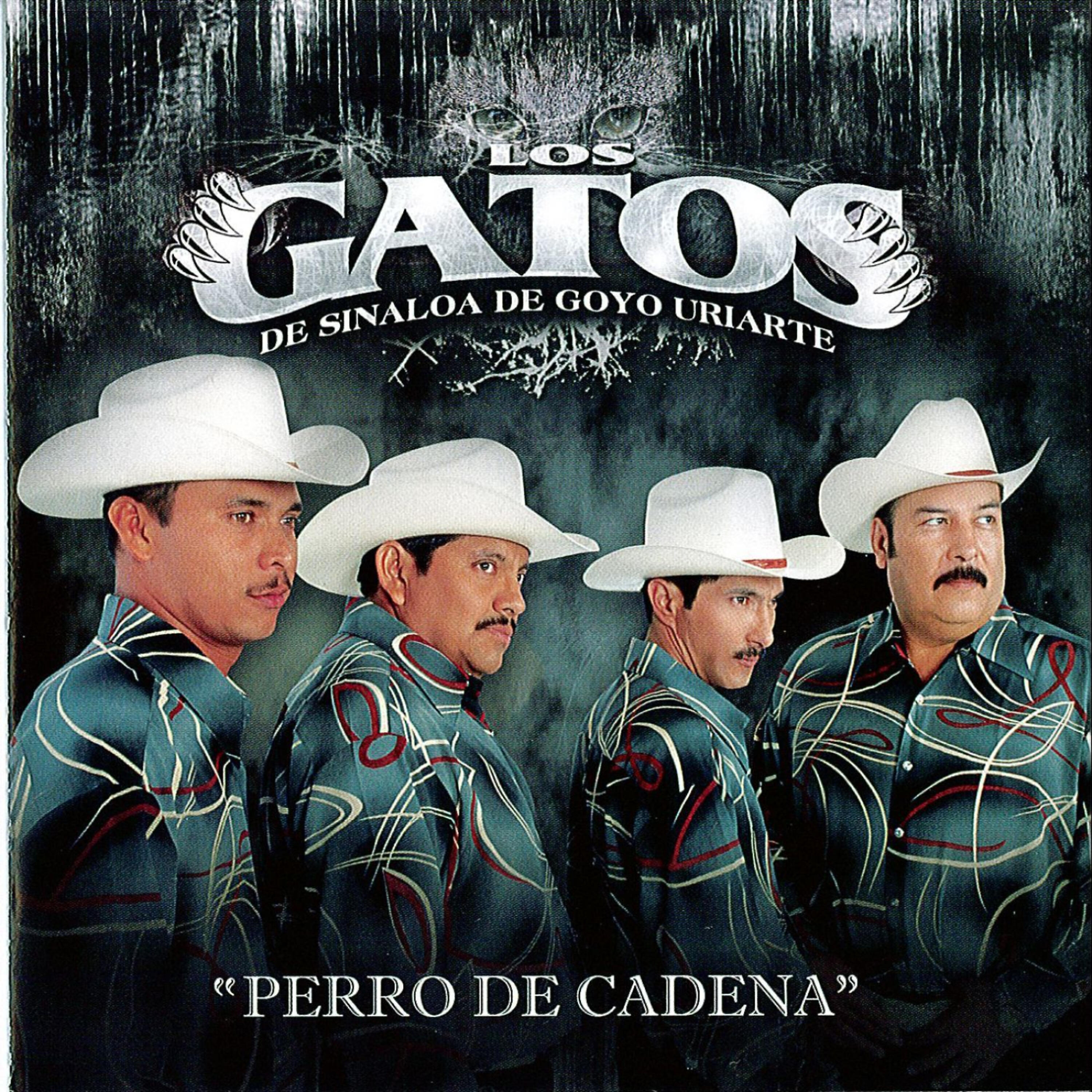 Релиз Perro De Cadena