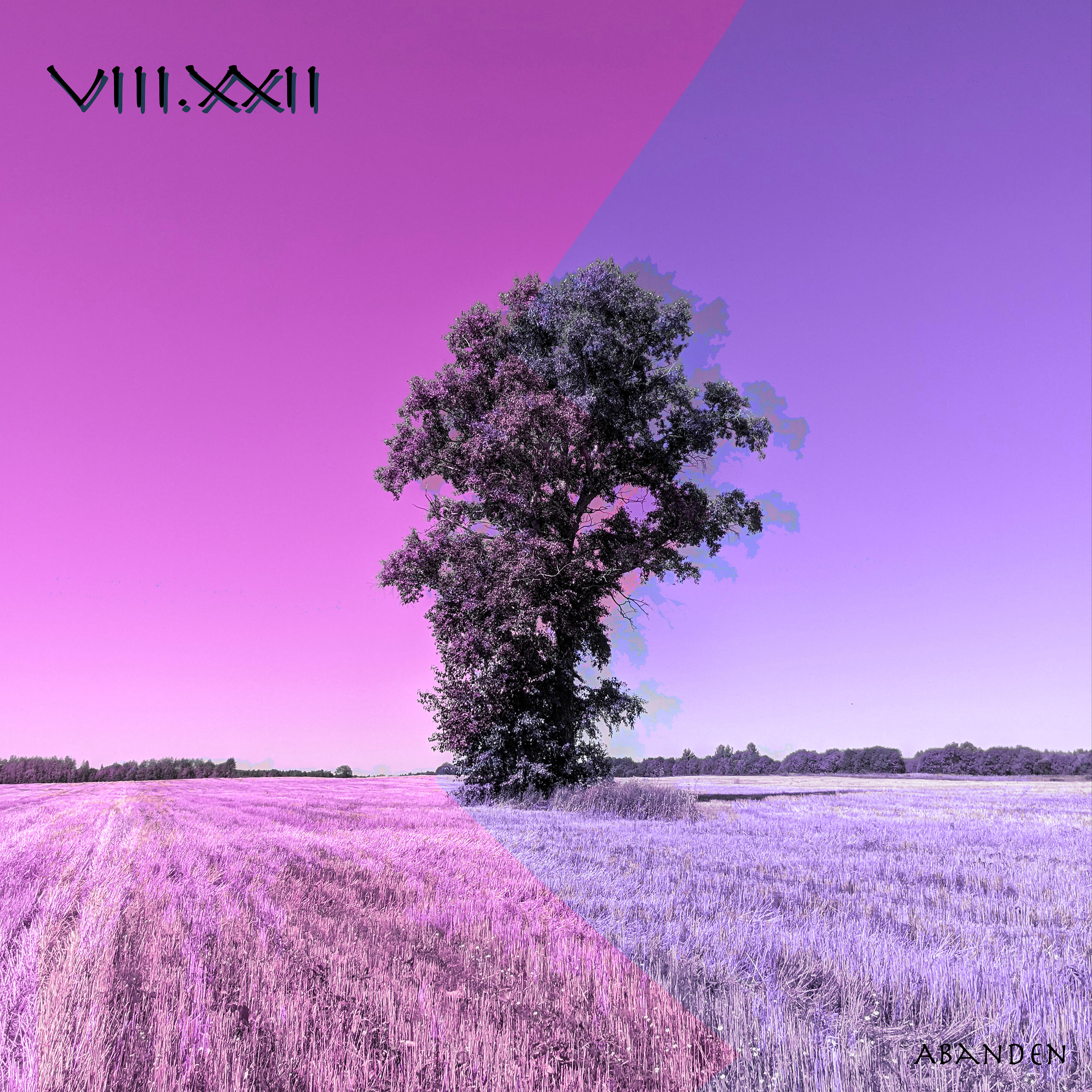 Релиз Viii. Xxii