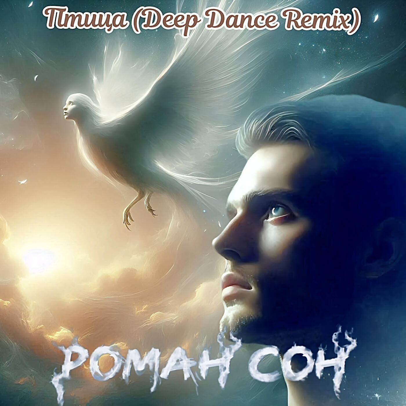 Постер альбома Птица (deep dance remix)