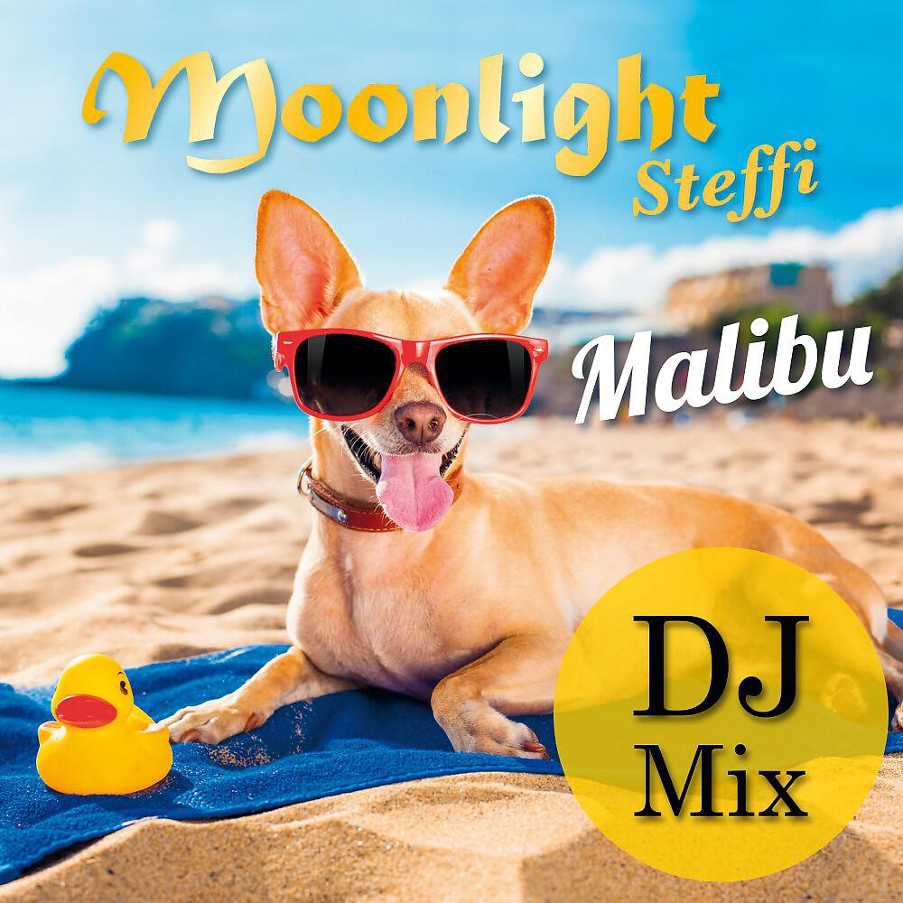 Релиз Malibu (DJ Mix)