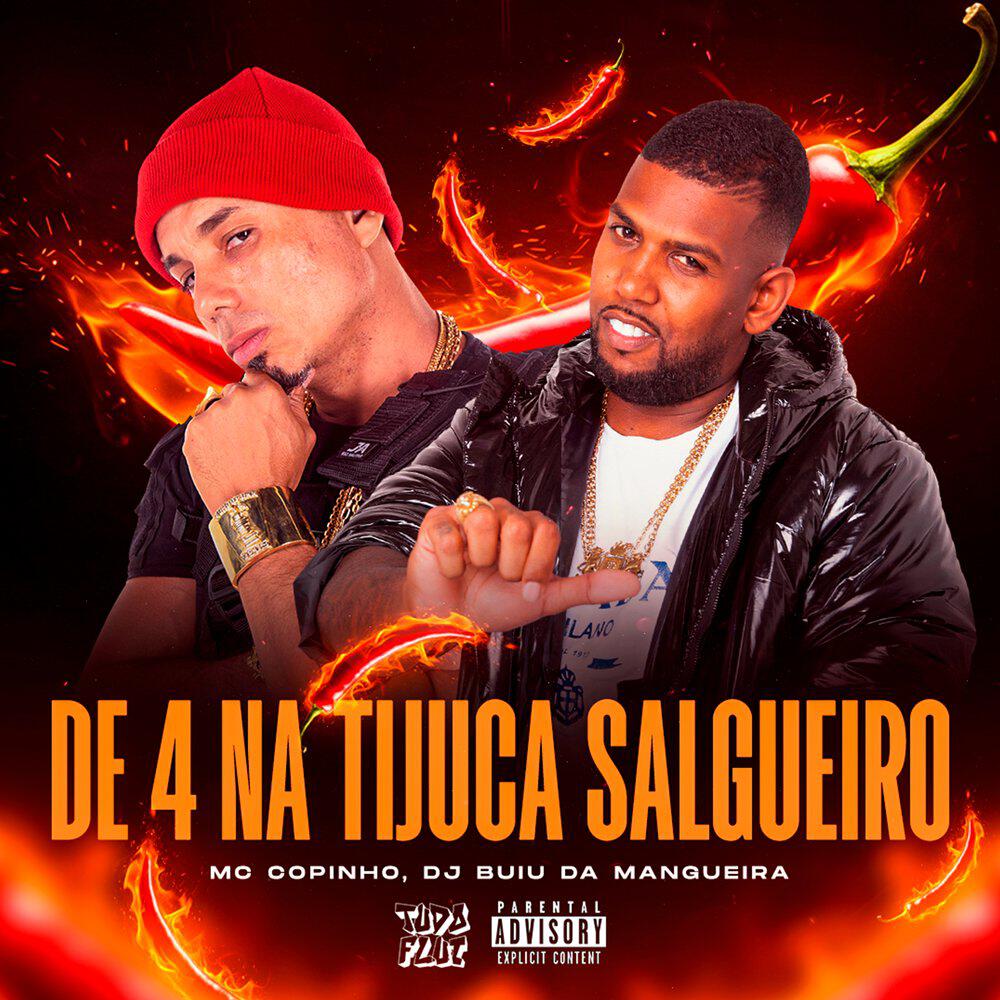 Релиз De 4 na Tijuca Salgueiro