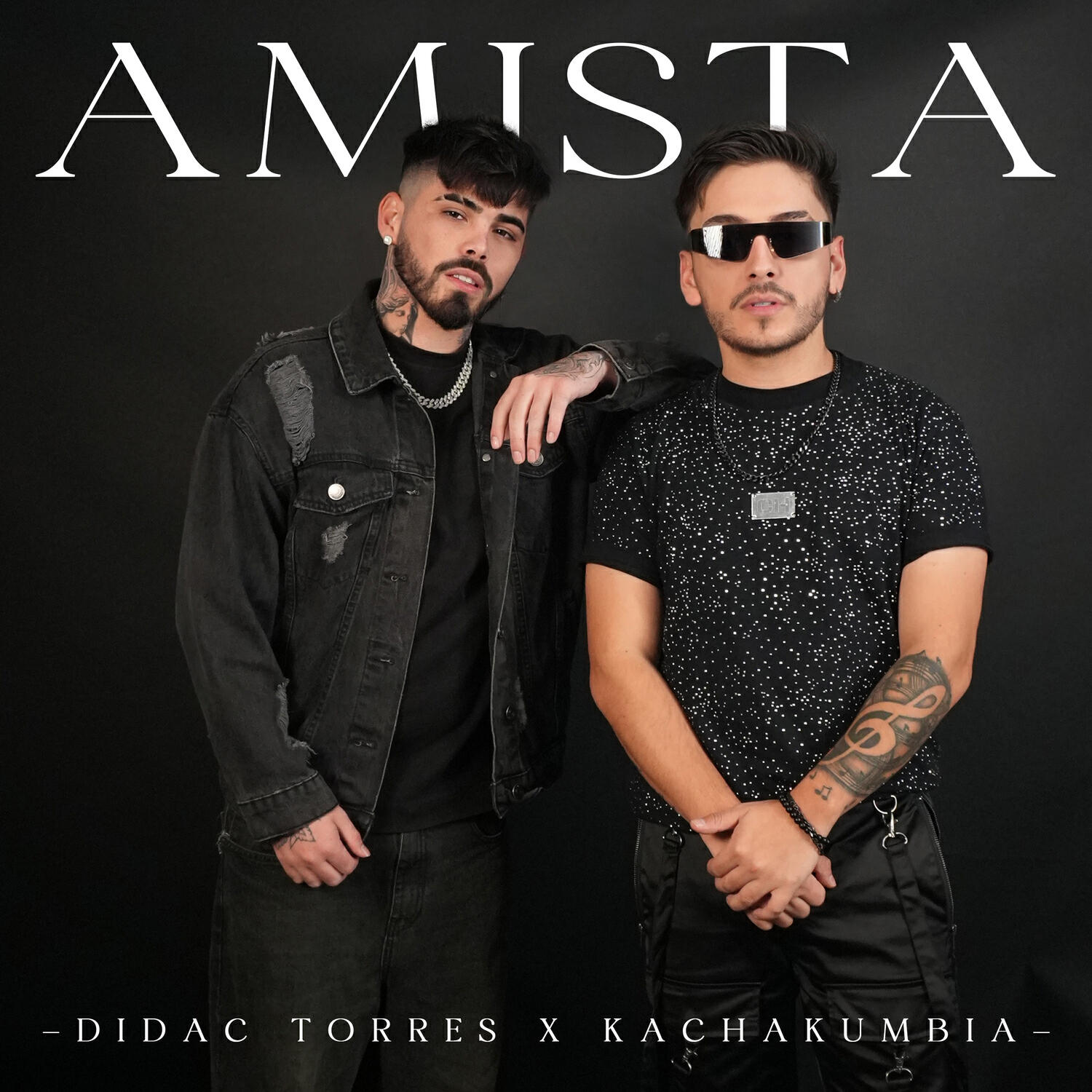 Релиз AMISTA