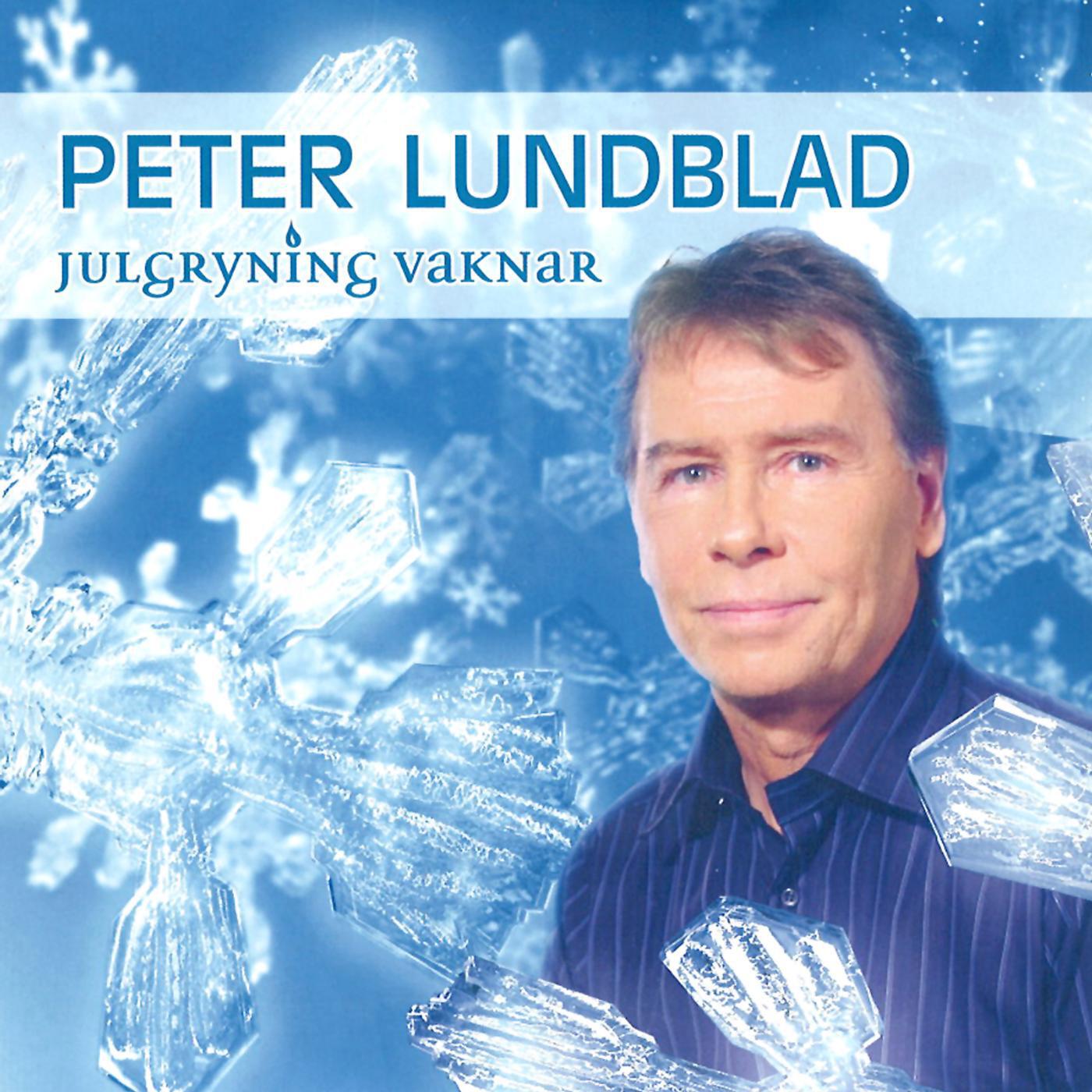Релиз Julgryning Vaknar (Instrumental)