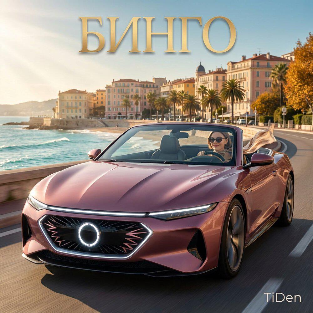 Релиз Бинго