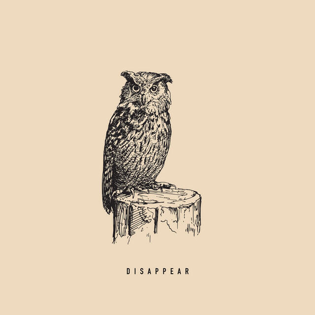 Релиз Disappear