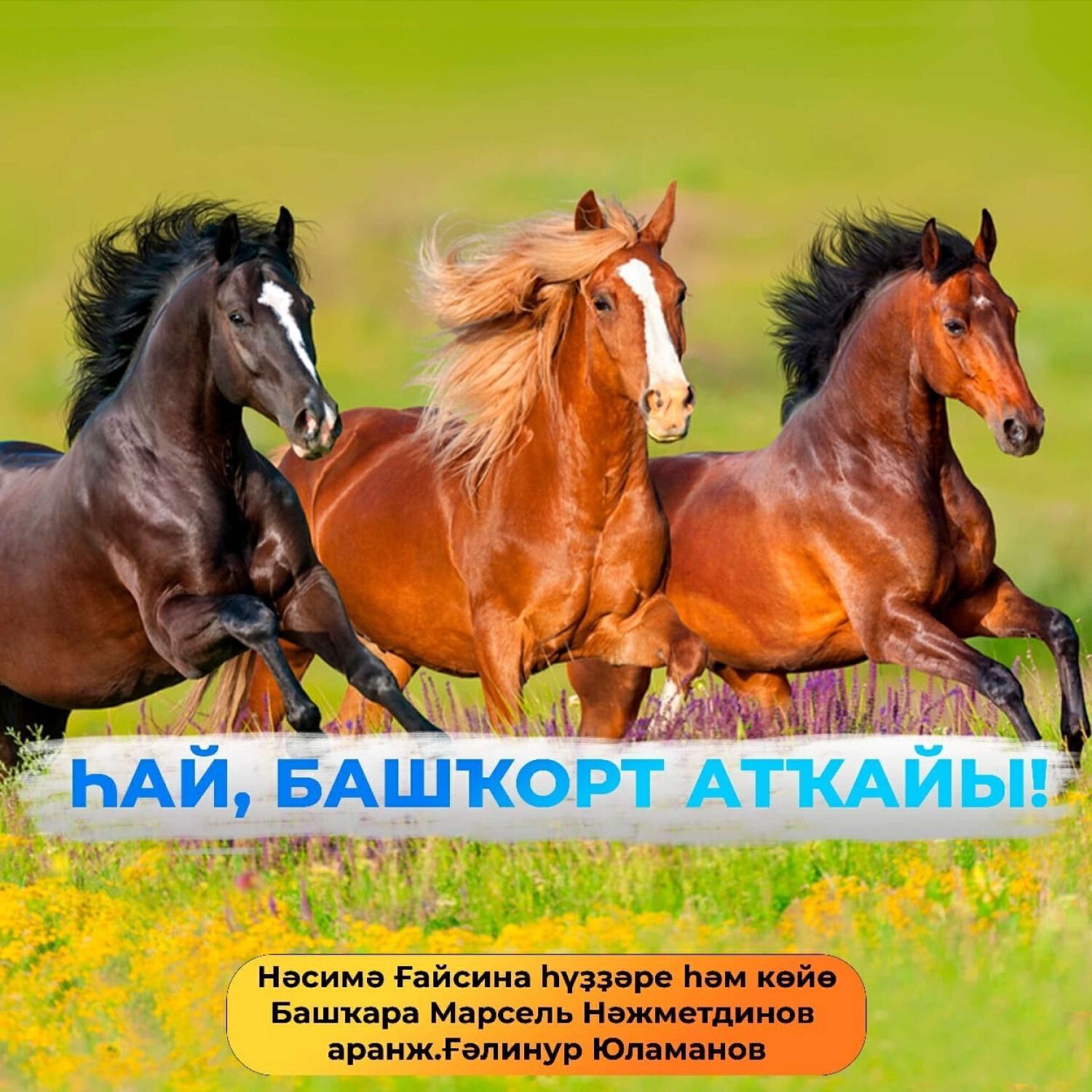 Релиз Һай, башҡорт аты . М.Нажметдинов . (көйө һәм һүҙҙәре Нәсимә Ғайсина)