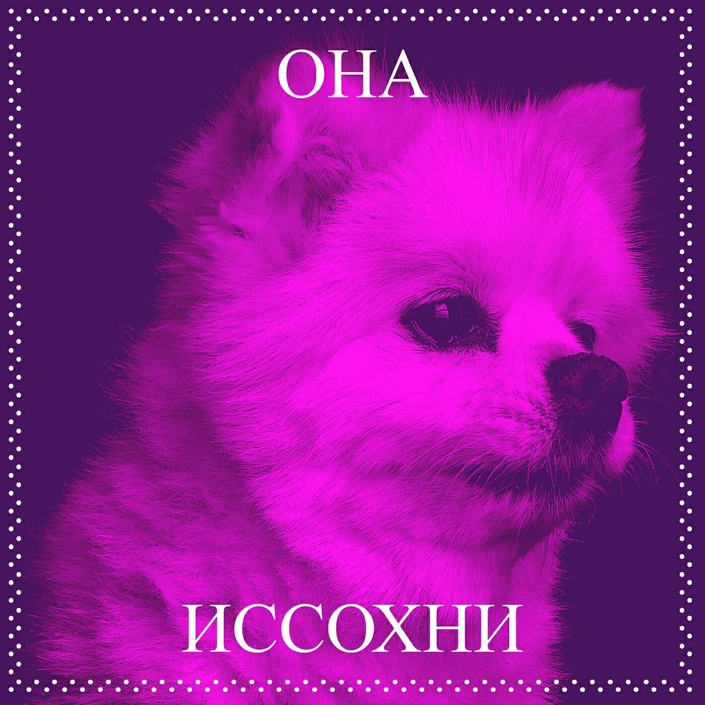иссохни