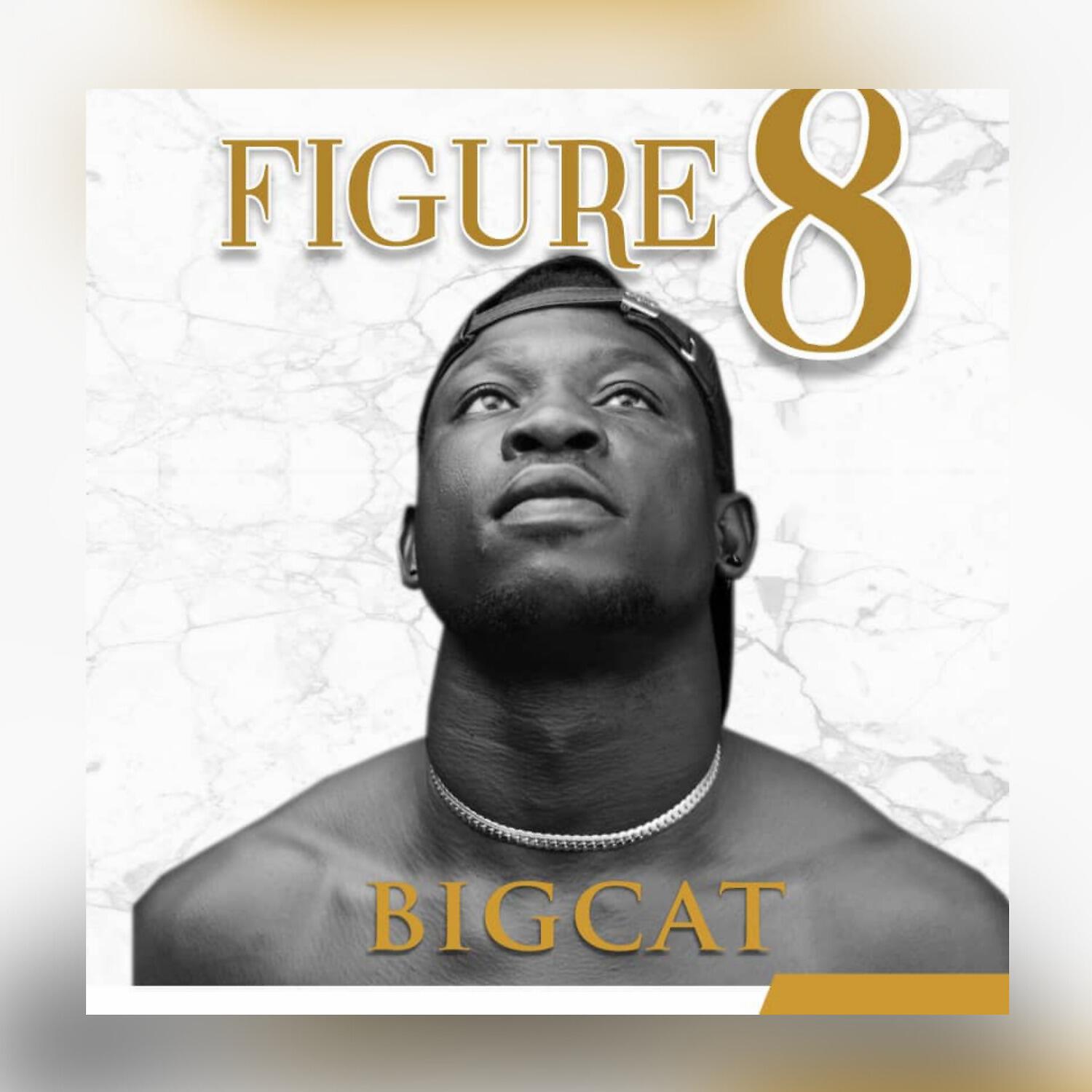 Релиз Figure 8