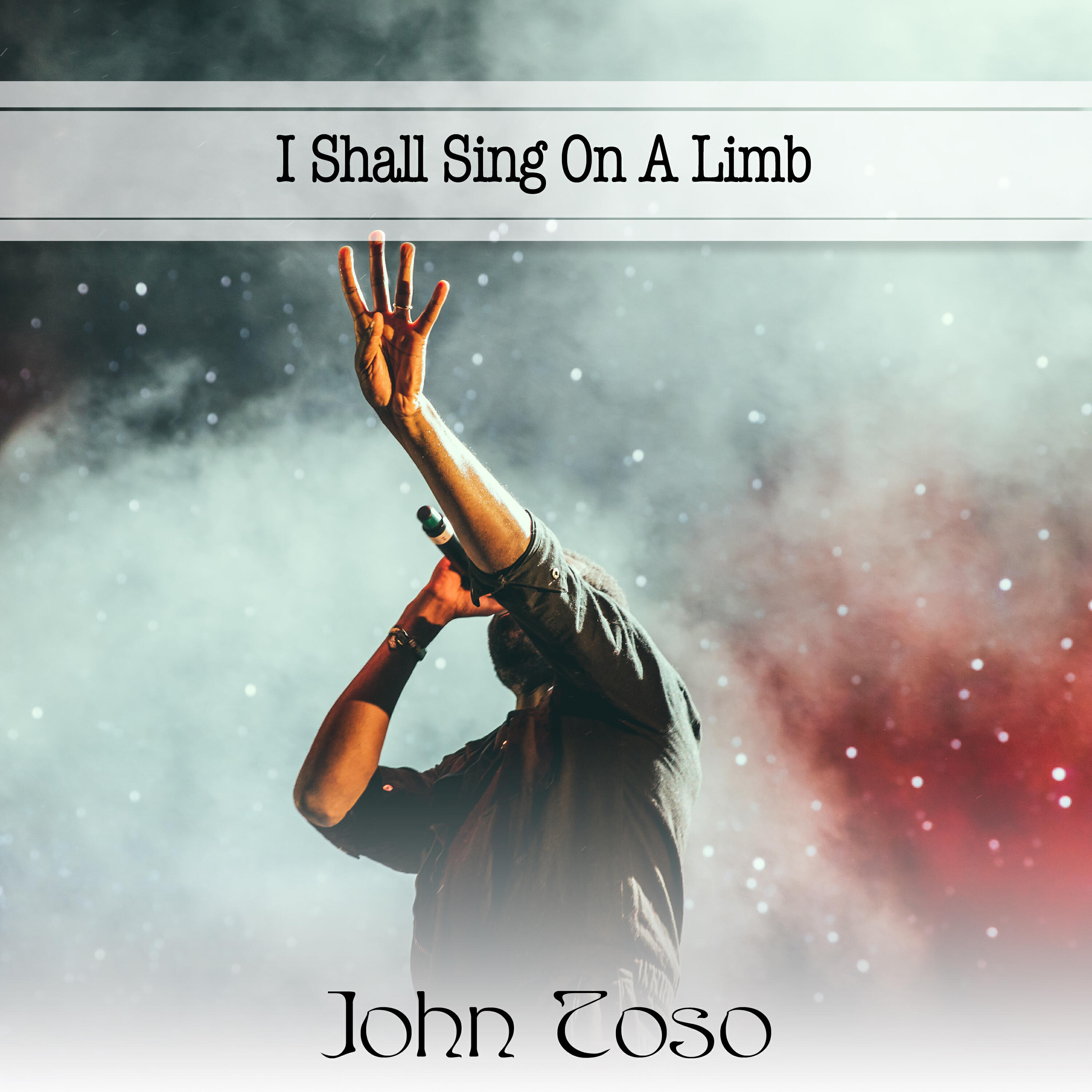 Релиз I Shall Sing On A Limb