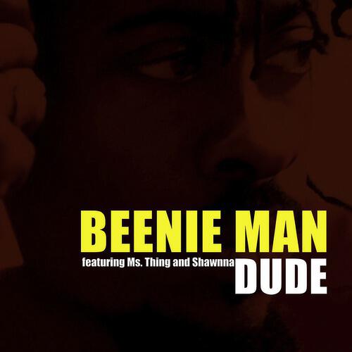 Релиз Dude