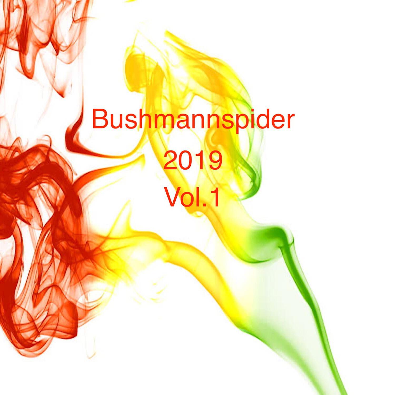 Bushmannspider