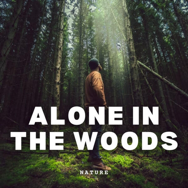 Релиз Nature: Alone in the Woods