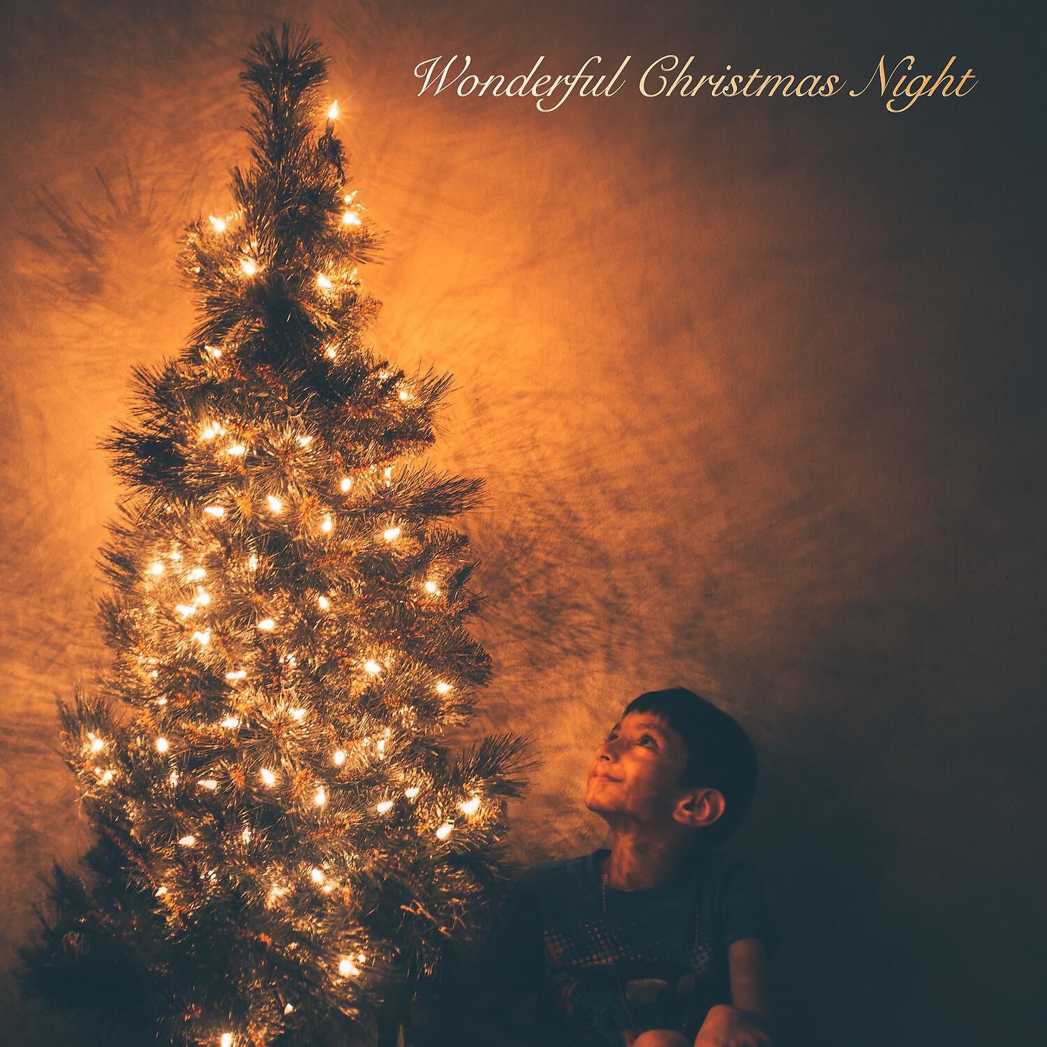 Релиз Wonderful Christmas Night